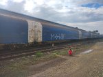 CPS FLT-034641-1